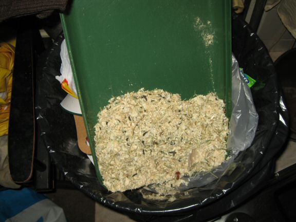 Cage cleaning for my hamster Lucy...