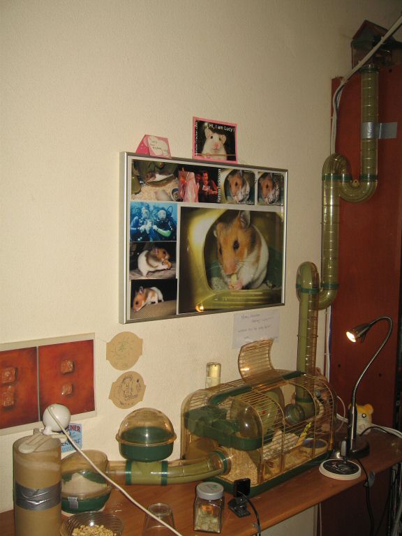 Another Lucy's Mansoin Expansion...