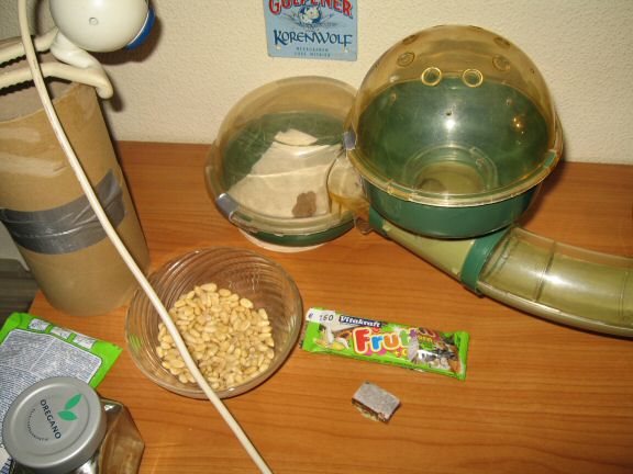 Bedroom Clean for Lucy.