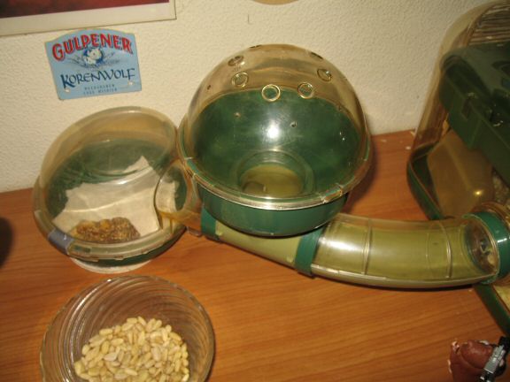 Cage clean for my hamster Lucy.