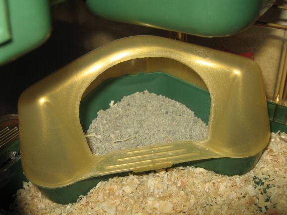 The  Glamorous life at HamsterTracker™ with my hamster Lucy.