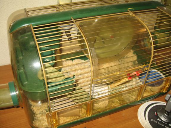 The  Glamorous life at HamsterTracker™ with my hamster Lucy.