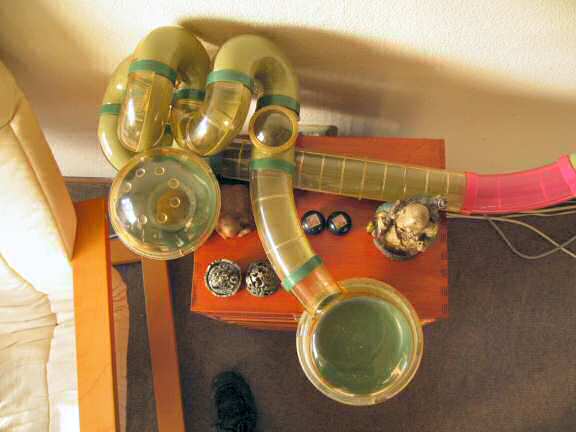 Hamster cage concept by the HamsterTracker(tm) real estate department 