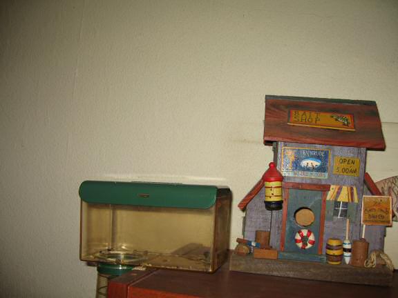 The latest living quarters addition to Lucy's cage.