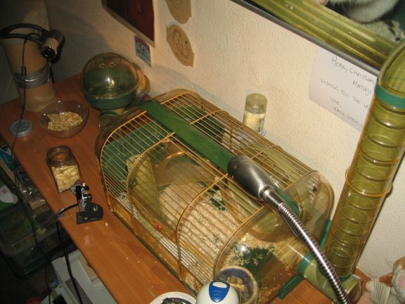 HamsterTracker™-Geekin' 