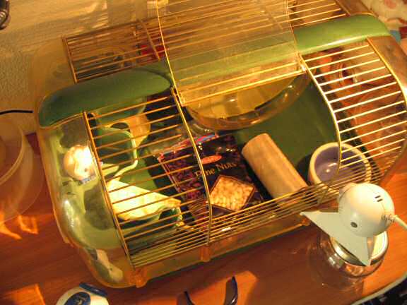 The cage all setup for Lucy 3.0.