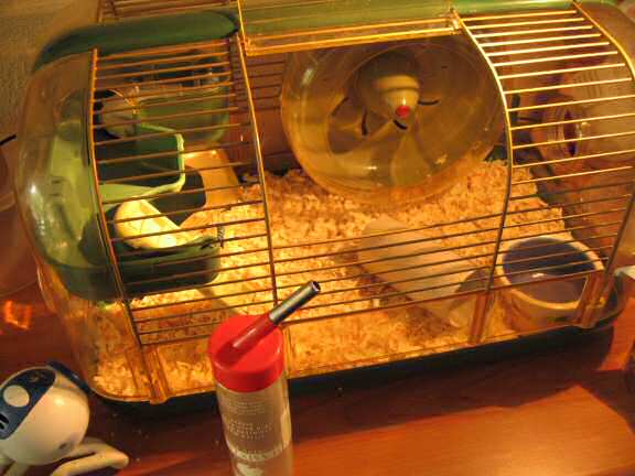 The cage all setup for Lucy 3.0.