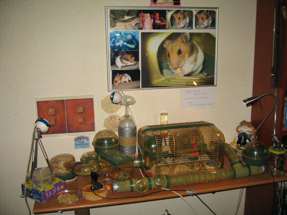 The new cage setup for my hamster Lucy.