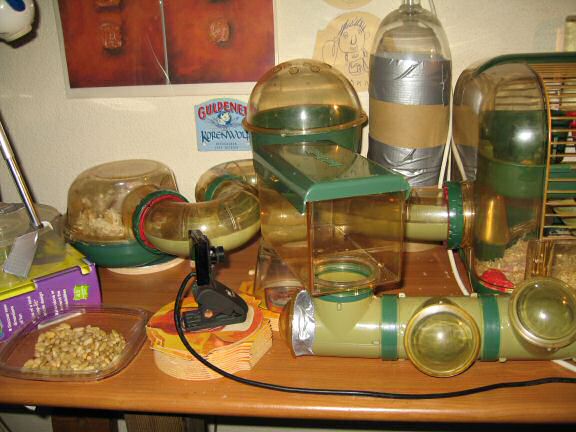 The new cage setup for my hamster Lucy.