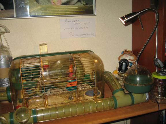 The new cage setup for my hamster Lucy.