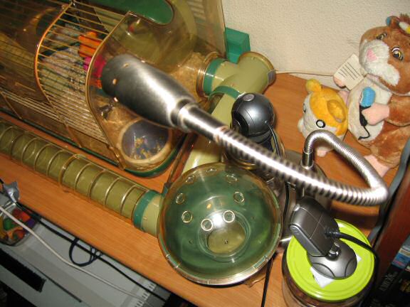 The new cage setup for my hamster Lucy.