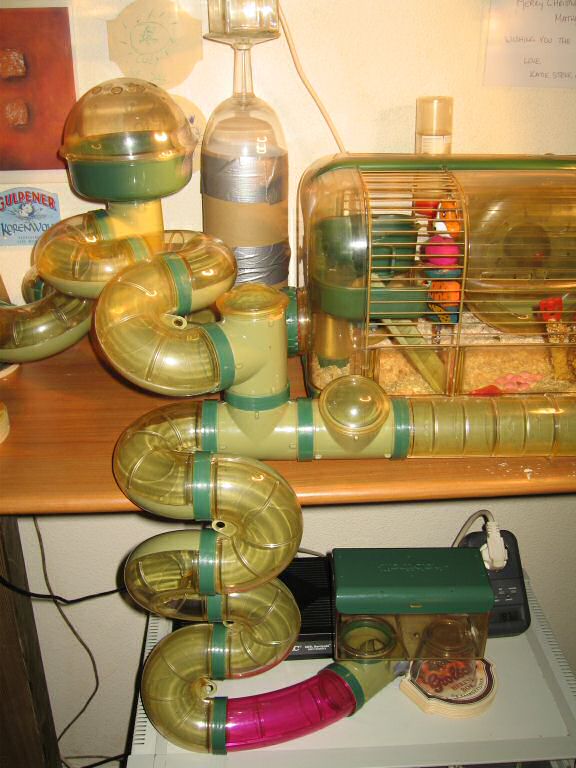 My hamster Lucy's new cage setup; an all new way to the 'Meditation-Room'.