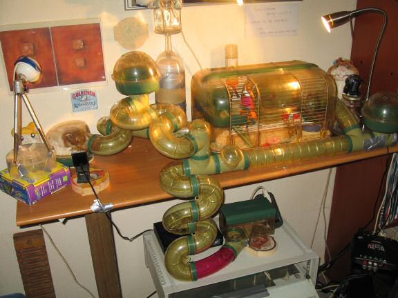 My hamster Lucy's new cage setup; an all new way to the 'Meditation-Room'.