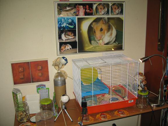 My hamster Lucy's latest new home.