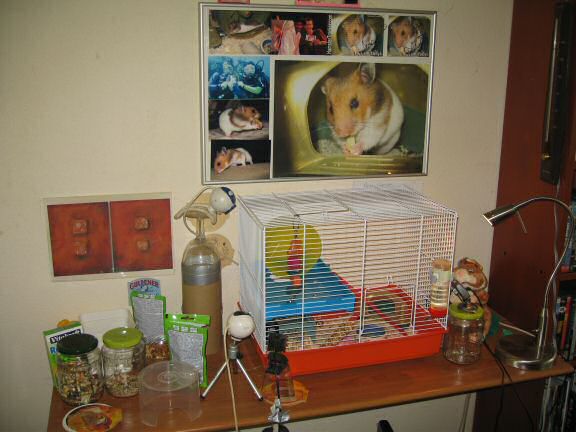 My hamster Lucy's latest new home.