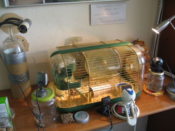 My hamster Lucy's latest new home.