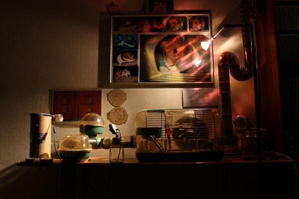 Photograph experiment of Lucy's quarters.