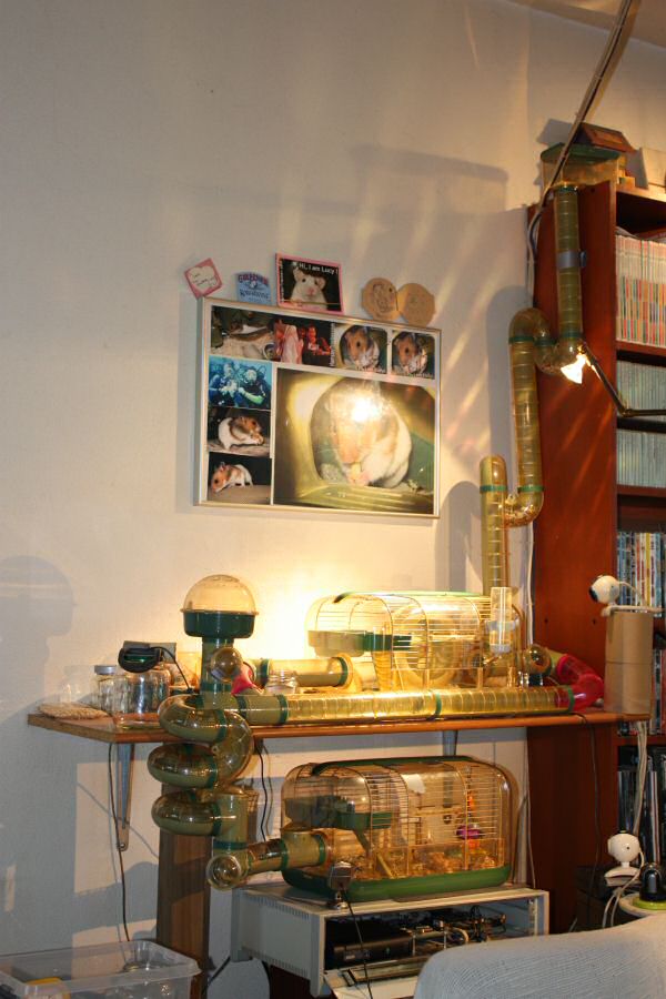 Lucy's grand mansion expansion.