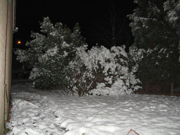 Chillin' it at HamsterTracker™ ... Literally !