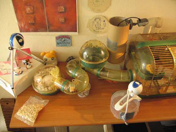 Tidy-ing the HamsterTracker(tm)-wire-ing.