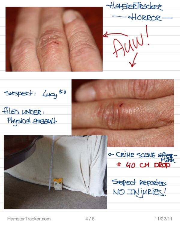 Lucy's bad behaviour report.