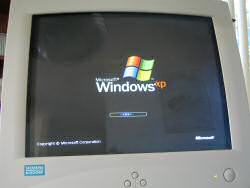 Computer crash: Windows logo on startup.