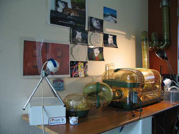 Computercrash: Blank screen.