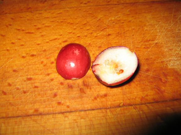 Cranberrie Suggestion by Kim.