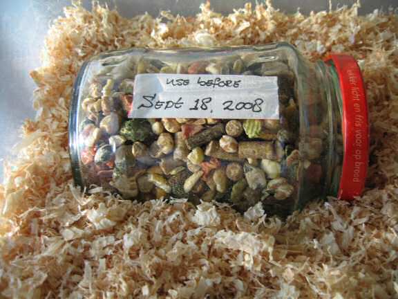 My hamster Lucy's Emergency Kit.