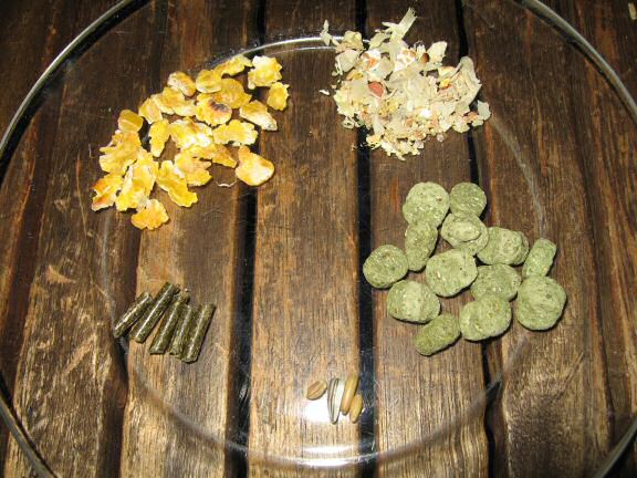 Analysing my hamster Lucy's food consumption.