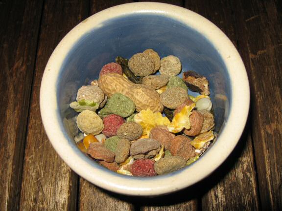 Analysing my hamster Lucy's food consumption.