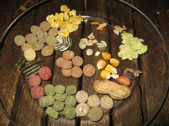 Analysing my hamster Lucy's food consumption.