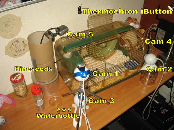 Lucy (3.0) 's Cage Setup.