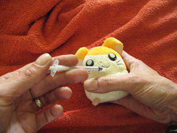 This is how I give Lucy her medicine, using a stand-in.