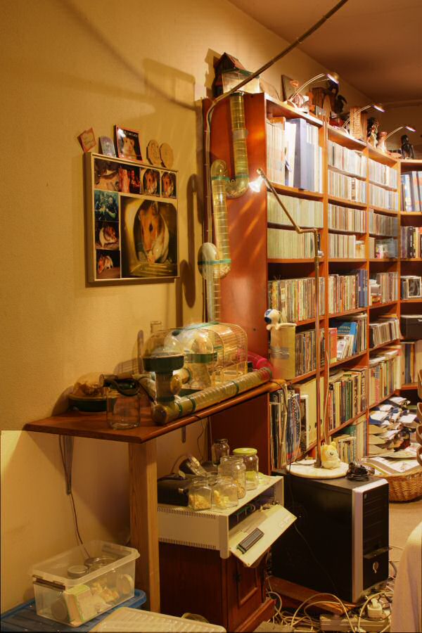 Lucy's Mansion, HDR- photograph Experiment