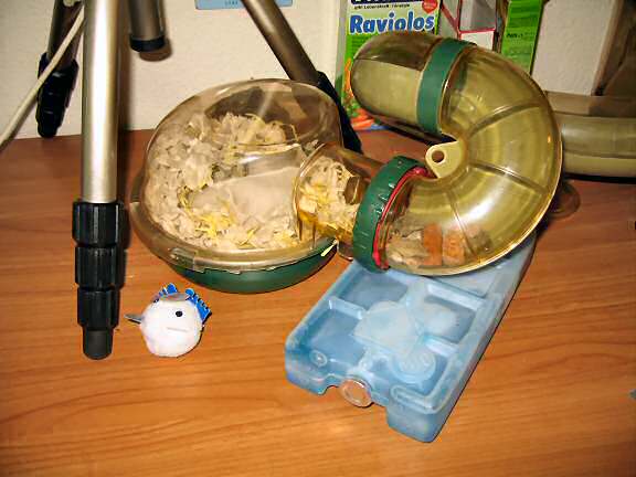 My hamster Lucy cooling down with her Hamster Airco.