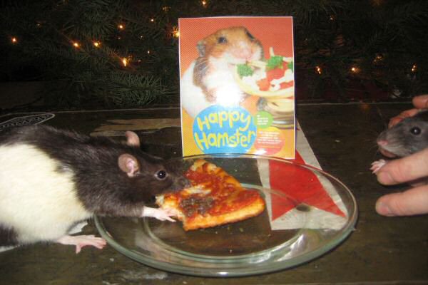 Happy Hamster book give a way winner!