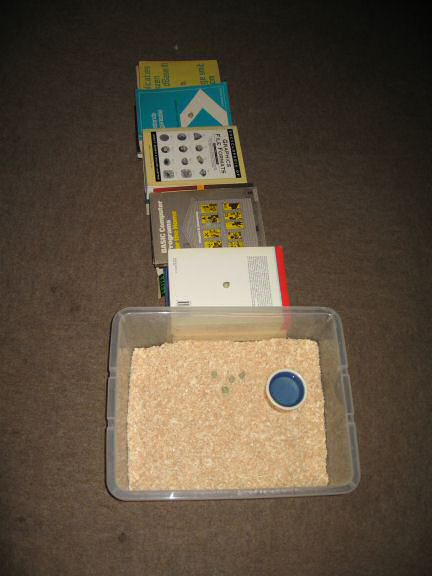 My hamster Lucy's big escape.