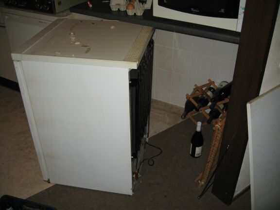 My hamster Lucy's big escape.