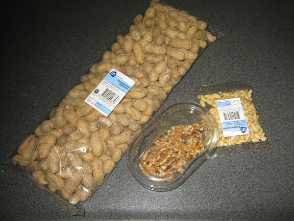 My hamster Lucy & 'Just Like That Day'.