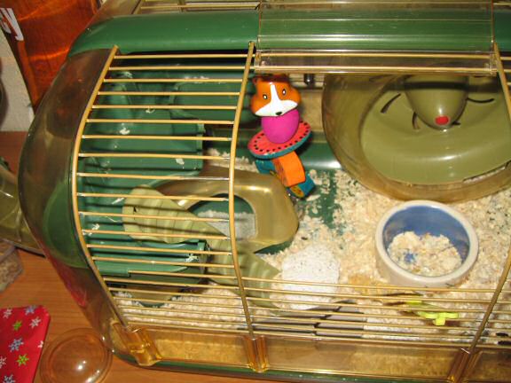 Lucy's Ka-Bob, the night after; A X-Mas gift for Lucy by Katie & Steve, Colleen & the Todd!