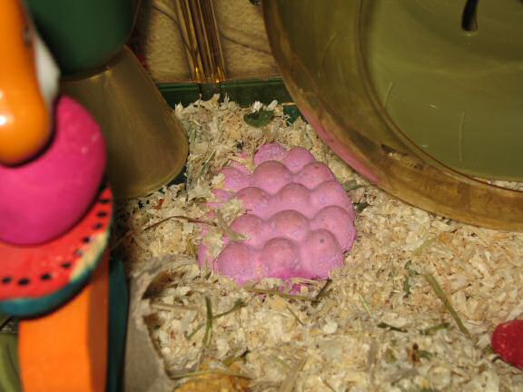 Solving the Lucy not running mystery.