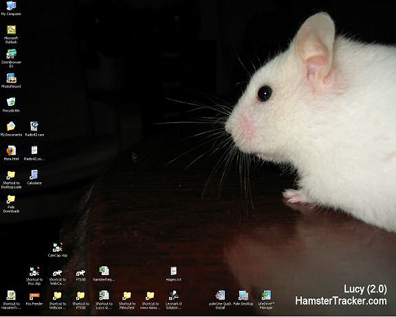 Snap shot of the new desktop wallpaper in use on my machine!