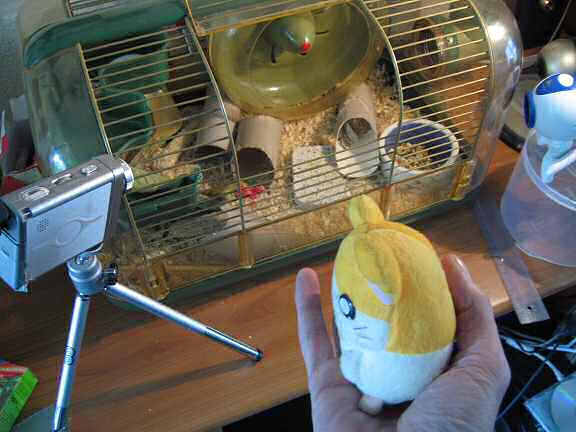 Picture of a reconstruction of Lucy jumping out of my hand.