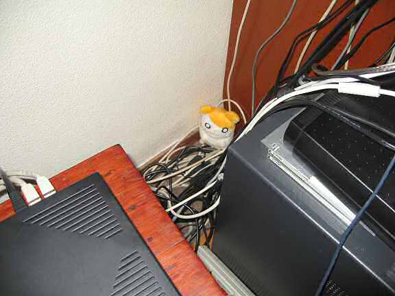 Picture of a reconstruction of Lucy jumping out of my hand.