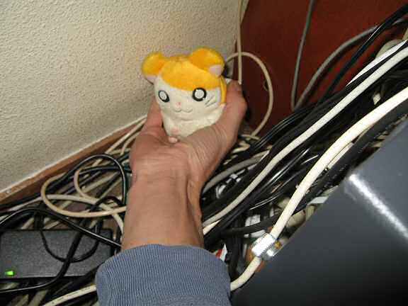 Picture of a reconstruction of Lucy jumping out of my hand.