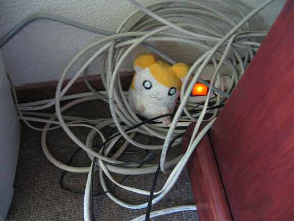 Picture of a reconstruction of Lucy jumping out of my hand.