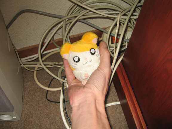 Picture of a reconstruction of Lucy jumping out of my hand.