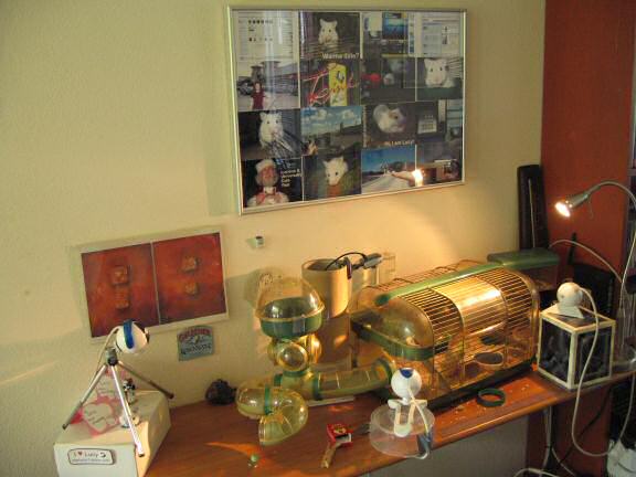 My hamster Lucy's cage after she passed.