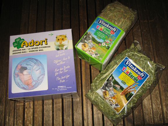 Spending day 700 with my hamster Lucy !!!